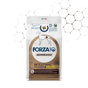 FORZA 10 INTESTINAL COLON...