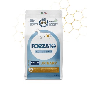 FORZA 10 MINI/TOY URINARY...