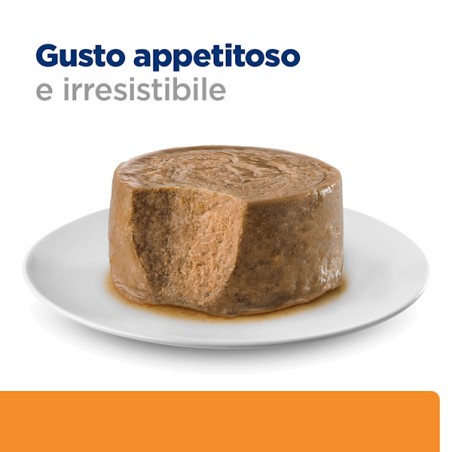 HILL'S Hill's Prescription Diet k/d gatti mousse Salmone 85 g