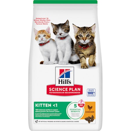 HILL'S Hill's science plan kitten per gattini al pollo 300 gr