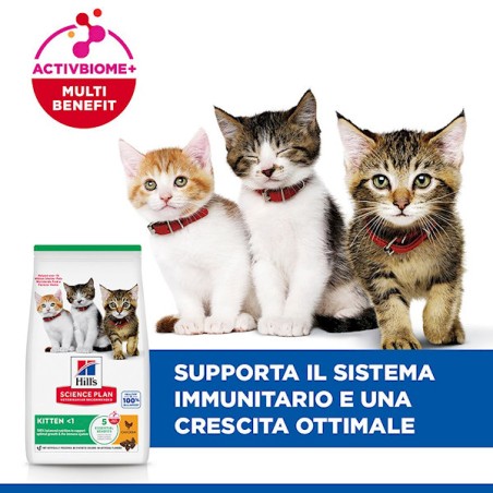 HILL'S Hill's science plan kitten per gattini al pollo 300 gr