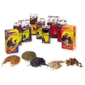ALL PET PASTONCINO TUTTAFRUTTA KG.1