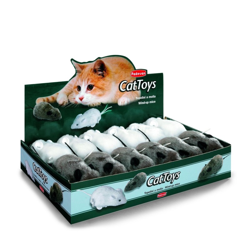 TOPO A CARICA GRANDE  