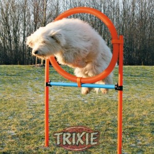 ANELLO AGILITY TRIXIE