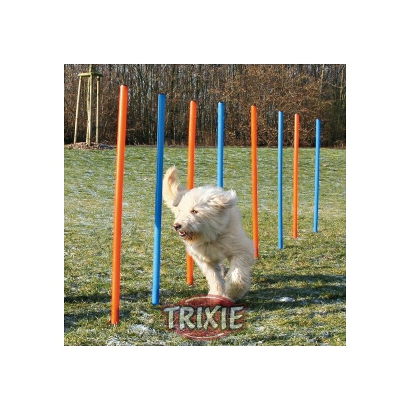 SLALOM (12pz) AGILITY TRIXIE