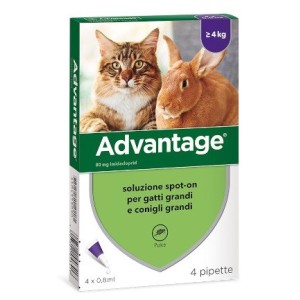 ADVANTAGE 80 PER GATTI OLTRE I 4 KG  