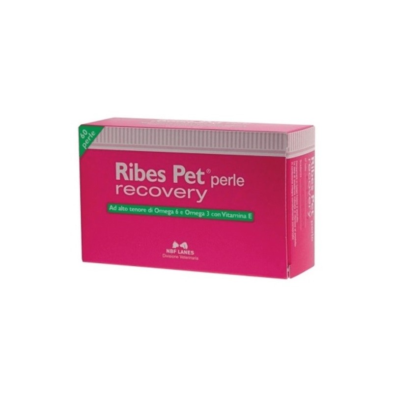 RIBES PET PERLE RECOVERY 60 PERLE