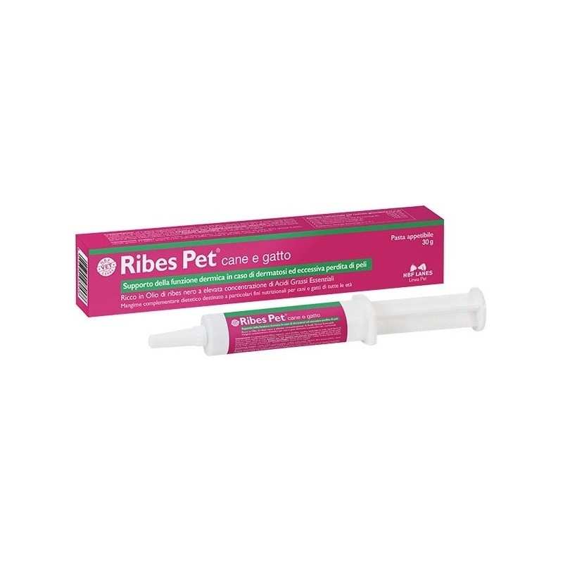 RIBES PET PASTA