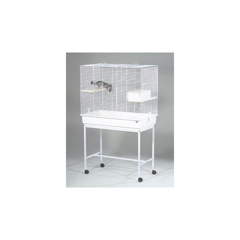 FOP GABBIA CINCILLA'