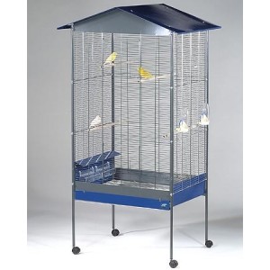 FOP VOLIERA COSTANZA ***NON DISPONIBILE***