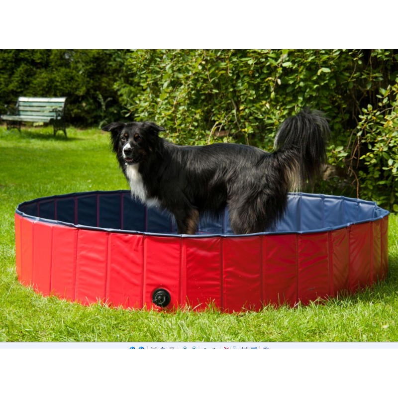 REX PISCINA MEDIUM CM.120