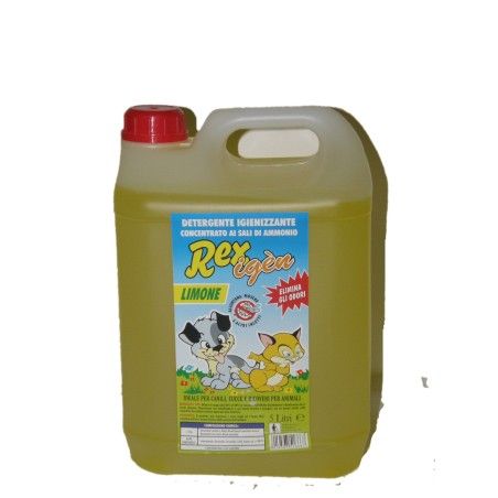 REX DETERGENTE LAVANDA 5 LITRI