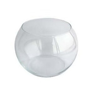 MONDIAL FAUNA ACQUARIO BOCCIA IN VETRO 25CM