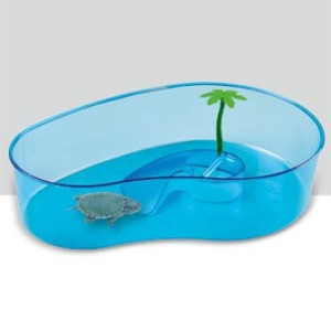 IMAC TARTARUGHIERA VIRGOLA