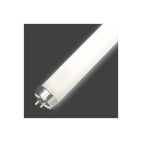 NEON SYLVANIA CORAL STAR FHO 24W T5