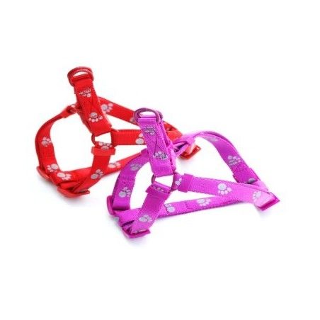 REX PETTORINE NYLON RIFLETTENTI 10MM.