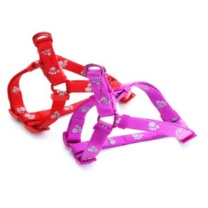 REX PETTORINE NYLON RIFLETTENTI 25MM.