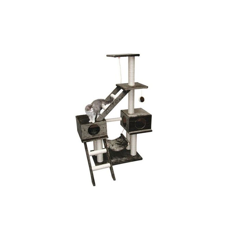 TIRAGRAFFI REX PARIGI