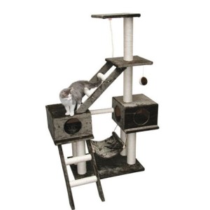 TIRAGRAFFI REX PARIGI