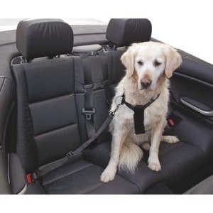 MAXIPET CINTURA DA AUTO MISURA 