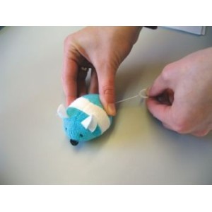 TOPO IN SPUGNA SHAKIN JOLLY