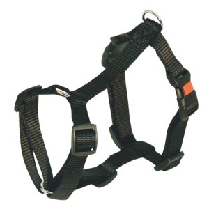 MAXI PET PETTORINA NYLON MM.20