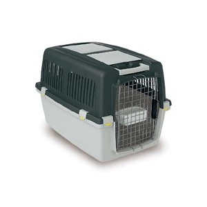 TRASPORTINO GULLIVER 4