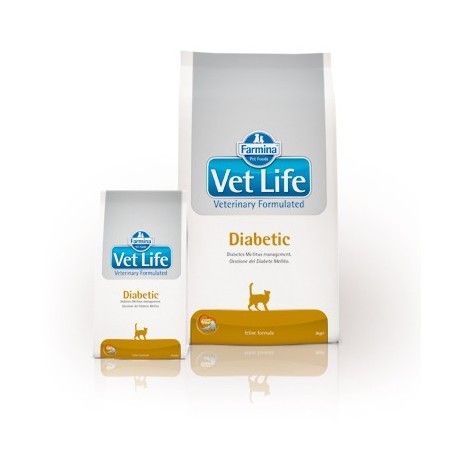 VETLIFE CAT DIABETIC KG.2