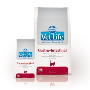 VETLIFE CAT GASTROINTESTINAL KG.2  