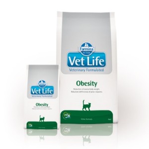 VETLIFE CAT OBESITY KG.2