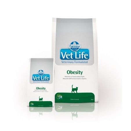 VETLIFE CAT OBESITY GR.400