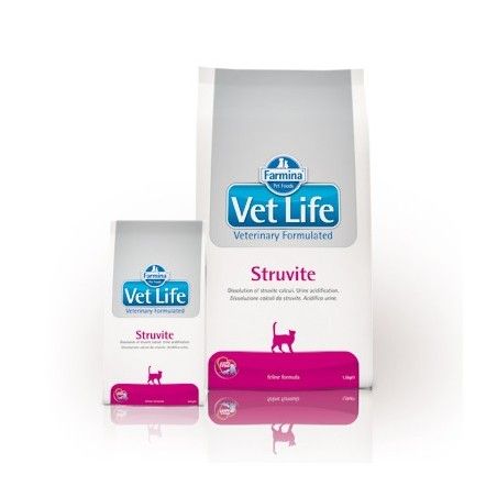 VETLIFE CAT STRUVITE KG.2