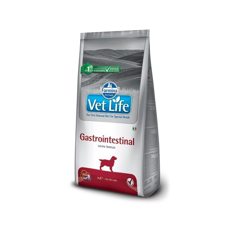 VETLIFE DOG GASTROINTESTINAL KG.12  