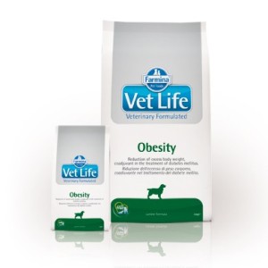 VETLIFE DOG OBESITY KG.2