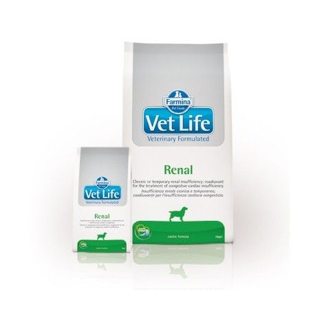 VETLIFE DOG RENAL KG.2