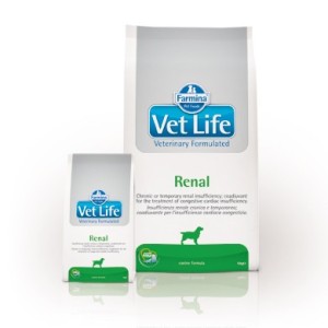 VETLIFE DOG RENAL KG.2