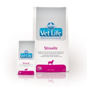 VETLIFE DOG STRUVITE KG.2