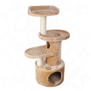 REX TIRAGRAFFI DUBLINO