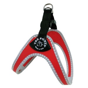 PETTORINA TREPONTI CLICK MIS. 2 1/2