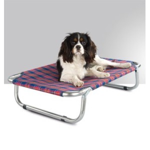 BRANDINA SEMPRE TESA CM.40X60  