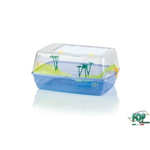 FOP TARTARUGHIERA KORFU'