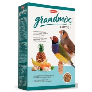 BECCHIME ESOTICI KG.1