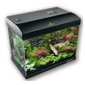 ACQUARIO MIRABELLO 30 CLASSICO 