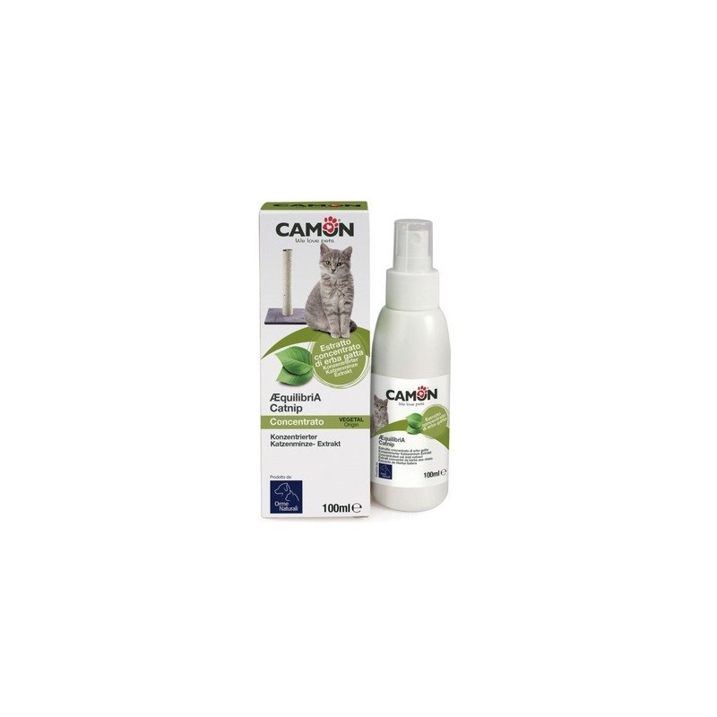 CAMON CATNIP ML.100