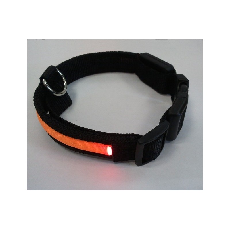 FLASHING COLLARE LUMINOSO