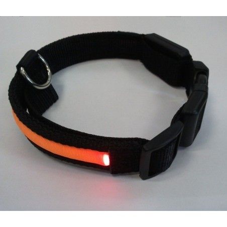 FLASHING COLLARE LUMINOSO