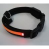 FLASHING COLLARE LUMINOSO