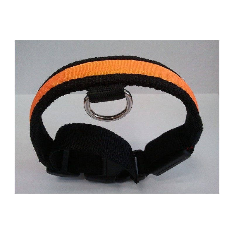 FLASHING COLLARE LUMINOSO