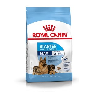 ROYAL CANIN MAXI STARTER MOTHER & BABYDOG 4KG