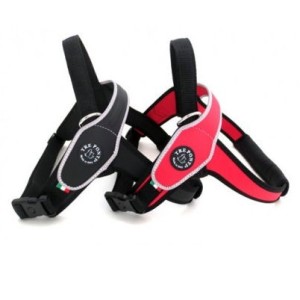 PETTORINA TREPONTI CON MANIGLIA MISURA "L"